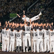 阪神-広島　選手やスタッフに胴上げされる藤川球児監督＝甲子園球場（撮影・鈴木雅之）