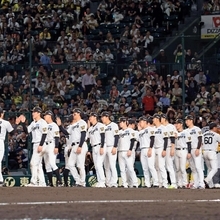 広島戦に勝利しハイタッチする阪神ナイン＝甲子園球場（撮影・鈴木雅之）