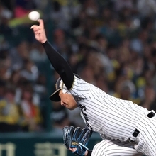 阪神-広島　７回、岩貞祐太から託されたマウンドで力投する岩崎優＝甲子園球場（撮影・吉田敦史）