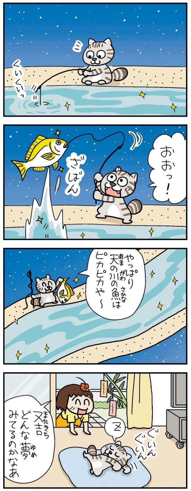 ねえ、ぴよちゃん（7月7日）|ねえ、ぴよちゃん|神戸新聞NEXT