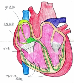 イラスト　鳴尾高校２年　大炭俊晴