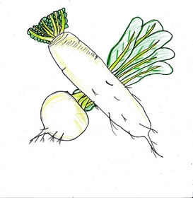 イラスト　御影高校１年　中村日飛