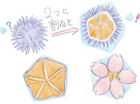 イラスト　加古川西高校３年　井上麻比留