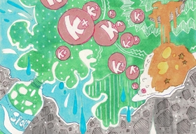イラスト　宝塚北高校１年　濱中　葵