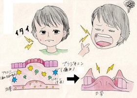 イラスト　御影高校２年　芳賀心優