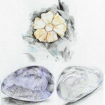 神戸新聞next 理科の散歩道 ７３９ あらゆるものは毒 栄養素も量次第で悪影響