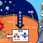 神戸新聞next 理科の散歩道 ７３９ あらゆるものは毒 栄養素も量次第で悪影響