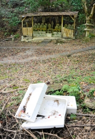 境内に捨てられた発泡スチロール＝京都市右京区、仁和寺