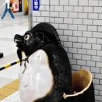 真っ二つになった３代目明石ポン太＝ＪＲ明石駅