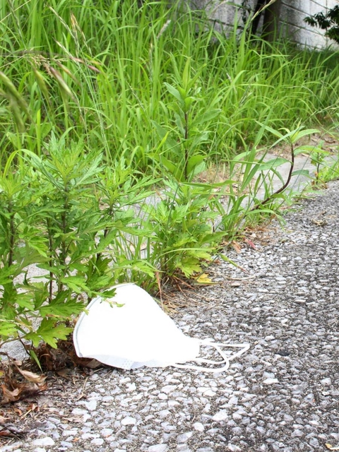 遊歩道に落ちた使い捨てマスク＝三田市ゆりのき台５