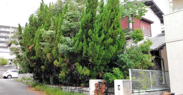 植栽が伸び放題になっている空き家＝神戸市須磨区