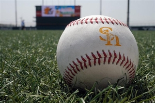 プロ野球のボール