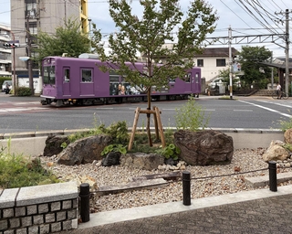 読者が教えてくれた西大路三条交差点の「雨庭」＝７月２７日、京都市右京区