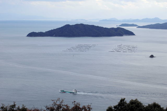 本州側から見た情島。日向は「海の要塞」として、島のすぐそばに固定された＝広島県呉市