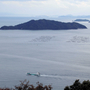 本州側から見た情島。日向は「海の要塞」として、島のすぐそばに固定された＝広島県呉市