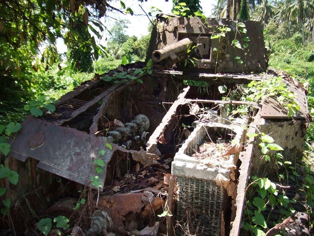 墓島のジャングルには、日本軍の戦車とみられる残骸が草木に埋もれている＝２０１１年４月、ブーゲンビル島（全国ソロモン会提供）