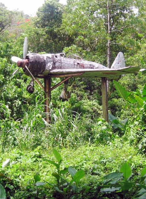 茂みの中に残る日本軍の戦闘機。かつてあった戦争関連施設に展示されていたという＝２００９年１０月、ブーゲンビル島（日本遺族会提供）