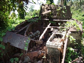 墓島のジャングルには、日本軍の戦車とみられる残骸が草木に埋もれている＝２０１１年４月、ブーゲンビル島（全国ソロモン会提供）