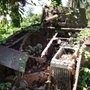 墓島のジャングルには、日本軍の戦車とみられる残骸が草木に埋もれている＝２０１１年４月、ブーゲンビル島（全国ソロモン会提供）