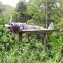 茂みの中に残る日本軍の戦闘機。かつてあった戦争関連施設に展示されていたという＝２００９年１０月、ブーゲンビル島（日本遺族会提供）