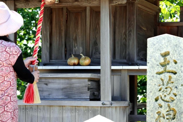 亀岡八幡宮の玉葱神社。お供えはもちろんタマネギ。由来碑の台座もタマネギ形だ＝南あわじ市阿万上町（撮影・大山伸一郎）