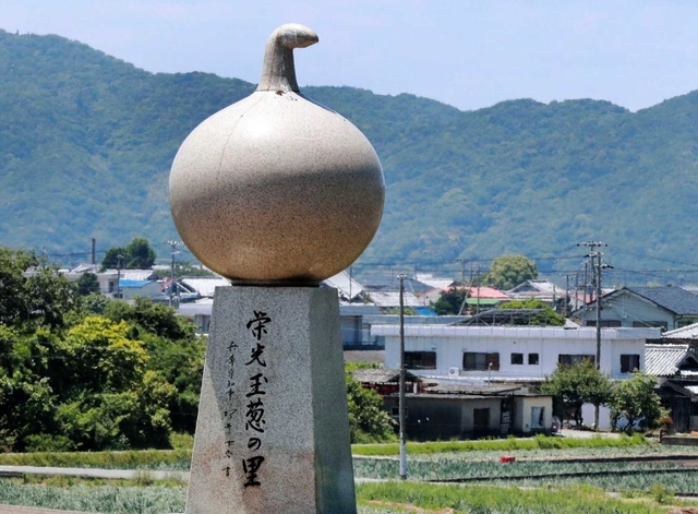大鳴門橋開通の１９８５年、「くにうみの祭典」会場として淡路ファームパークが開業。「玉葱の里」記念碑は、試作から約１００年を祝って建てられた＝南あわじ市八木養宜上