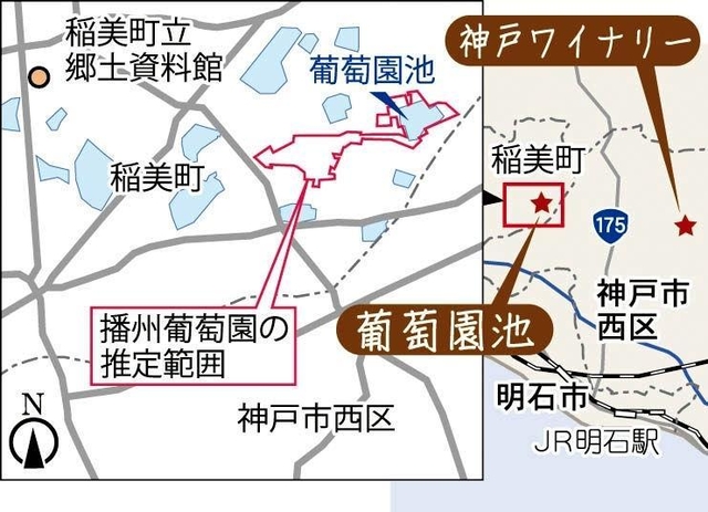神戸新聞ＮＥＸＴ