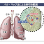 神戸新聞ＮＥＸＴ