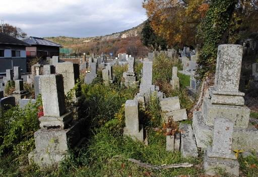 横倒しになった墓石や雑草に覆われた区画が目立つ地域の共同墓地＝高砂市阿弥陀町魚橋