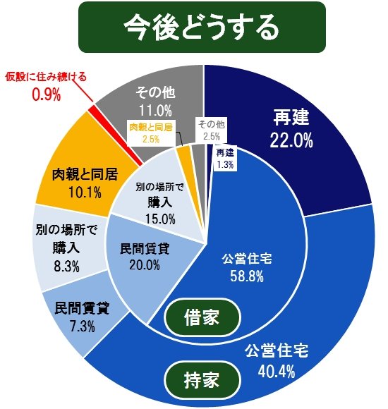 今後どうする　円グラフ