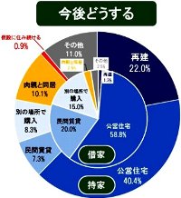 今後どうする　円グラフ