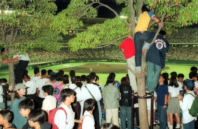 １９９５・９・１３　優勝目前、スタンドをファンが埋め尽くした＝神戸市須磨区のグリーンスタジアム神戸