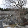 碑は同胞の墓に囲まれて立っている＝神戸市長田区滝谷町、神阪中華義荘