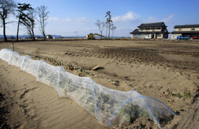 約半分だけが移転促進地域となった集落。残る住民は孤立感を抱く＝宮城県亘理町（撮影・斎藤雅志） 