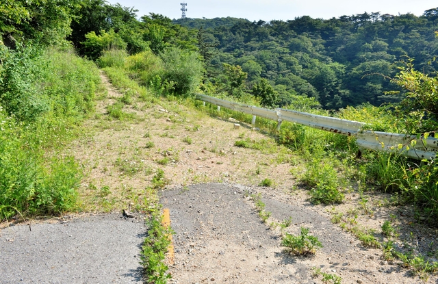 現在は草木に覆われ、陥没部分も見えない＝神戸市北区有馬町