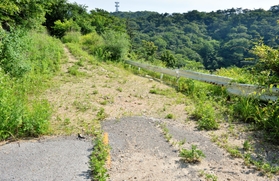現在は草木に覆われ、陥没部分も見えない＝神戸市北区有馬町