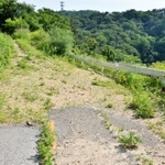 現在は草木に覆われ、陥没部分も見えない＝神戸市北区有馬町