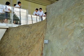 保存されている野島断層。防災教育に欠かせない存在だ＝淡路市小倉（撮影・後藤亮平）