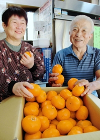 愛媛県の友人から届いたミカンを手に取る深田勲さん（右）と洋子さん＝神戸市東灘区本山南町８