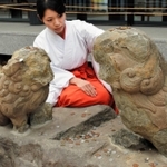 土中から見つかり、２１年ぶりに再び境内に設置された一対の狛犬＝西宮市社家町