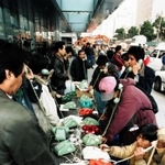 阪神・淡路大震災後、臨時電話で安否を伝える被災者ら＝１９９５年１月２０日、神戸市中央区、市役所前