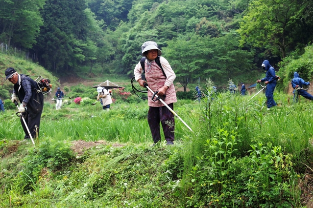地元の高校生も草刈りに参加する「おじいちゃんとおばあちゃんの花しょうぶ園」＝２０１５年５月、兵庫県佐用町西新宿（撮影・大山伸一郎）