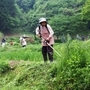地元の高校生も草刈りに参加する「おじいちゃんとおばあちゃんの花しょうぶ園」＝２０１５年５月、兵庫県佐用町西新宿（撮影・大山伸一郎）