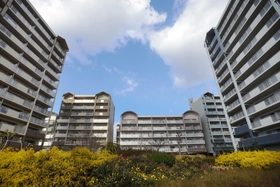 臨海部にたたずむ市営南芦屋浜団地。３５０世帯以上が暮らす＝芦屋市陽光町（撮影・三津山朋彦）