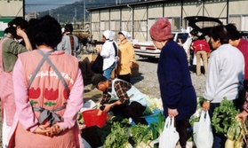 仮設住宅で開かれたもちつき大会。地元農家がダイコンを持ち寄った＝１９９６年１２月、姫路市玉手、玉手仮設住宅