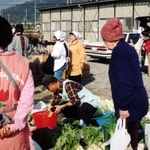 仮設住宅で開かれたもちつき大会。地元農家がダイコンを持ち寄った＝１９９６年１２月、姫路市玉手、玉手仮設住宅