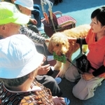 熊本地震の被災地で活動するセラピー犬。お年寄りらを笑顔にする＝昨年１２月３日、熊本県西原村（日本レスキュー協会提供）