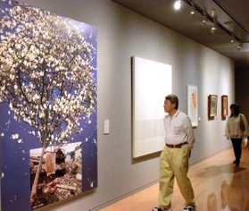 被災地のハクモクレンが題材の福田美蘭さんの作品（左端）＝兵庫県立美術館県立美術館