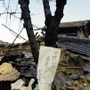 「女性一人　家屋の下にいます」と紙が木にくくりつけられていた＝１７日午前、芦屋市川西町（撮影・阪神総局員）