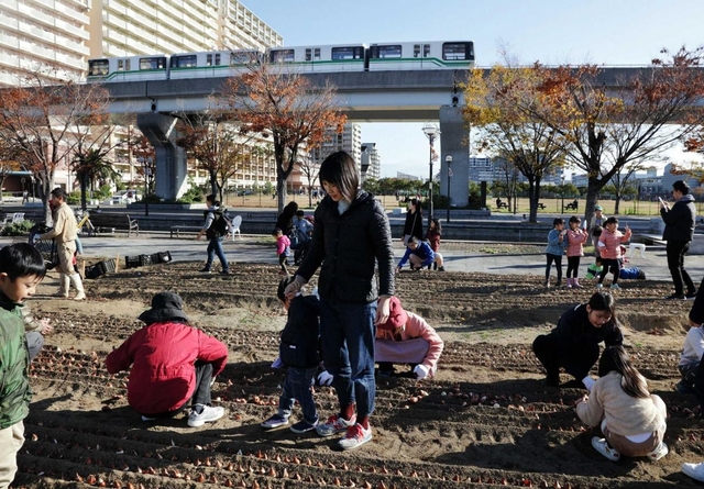 住民約１００人が球根を植えた。周辺には震災から５年間、仮設住宅が並んでいた＝神戸市東灘区向洋町中５